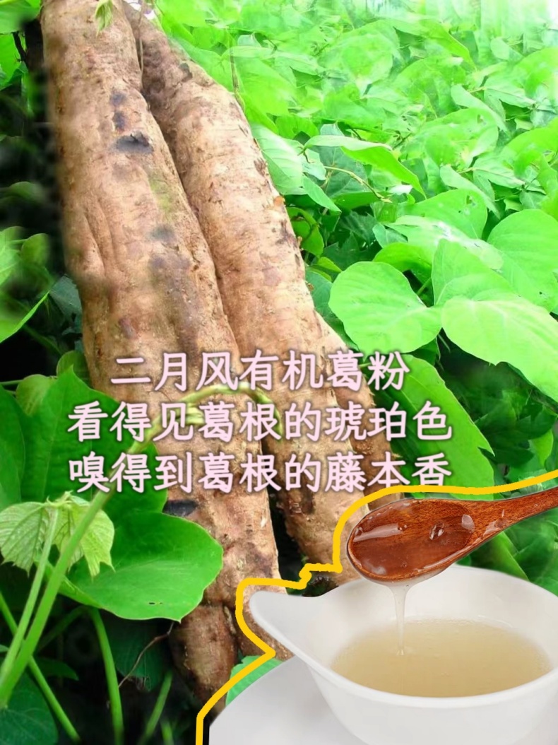 二月風(fēng)有機(jī)葛粉，看得見(jiàn)葛根的琥珀色，嗅得到葛根的藤本香_790.jpg