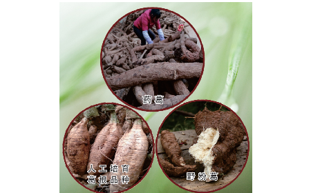 買葛粉是買野生的好？還是野生有機的好？