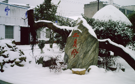 二月風(fēng)致老友：一碗葛根粉的牽掛，農(nóng)博會(huì)上的重逢之約二月風(fēng)盼老友：農(nóng)博會(huì)上，再續(xù)葛粉情緣